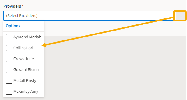 Provider field with a yellow highlight box around the drop-down arrow and a yellow arrow pointing downwards to the selection options.